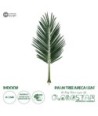 GloboStar® Artificial Garden ARECA PALM LEAF 20179 - Τεχνητό Διακοσμητικό Φύλο Φοινικόδεντρου Αρέκα Π70 x Υ160cm